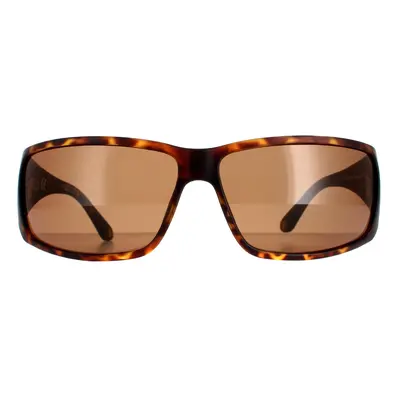 Police Sunglasses SPLB46 Origins 40 0738 Havana Brown