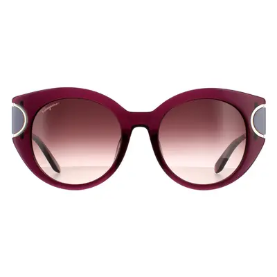 Salvatore Ferragamo Sunglasses SF840SA 500 Violet Brown Wine Gradient