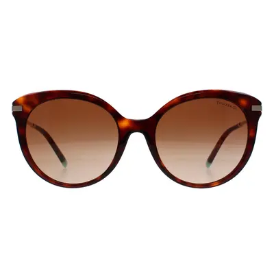 Tiffany Sunglasses TF4189 80023B Havana Brown Gradient