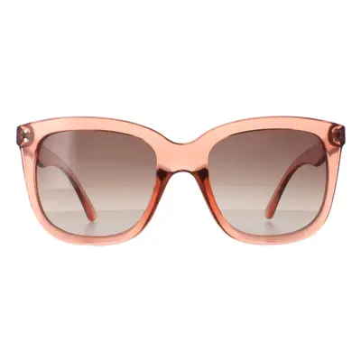 Calvin Klein Sunglasses CK22550S 674 Dusty Pink Brown Gradient