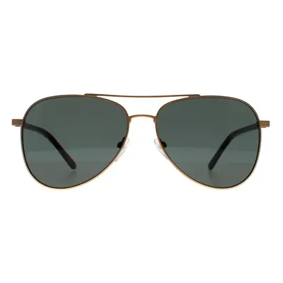 Calvin Klein Sunglasses CK21306S 718 Satin Gold Green