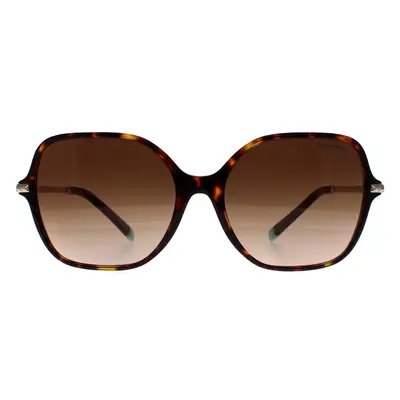 Tiffany Sunglasses TF4191 80153B Havana Brown Gradient