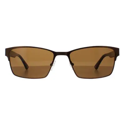 Duck and Cover Sunglasses DCS030 C2 Brown Black Brown