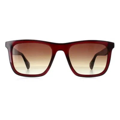 Ted Baker Sunglasses TB1680 Filipe 249 Crystal Dark Wine Brown Gradient