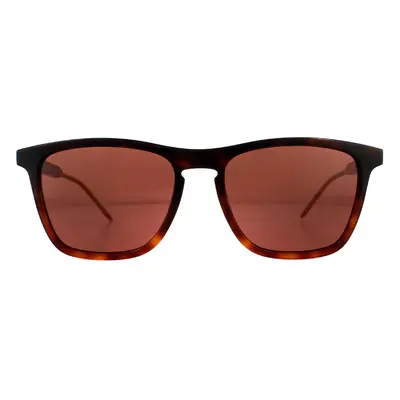 Gucci Sunglasses GG0843S 002 Havana Brown