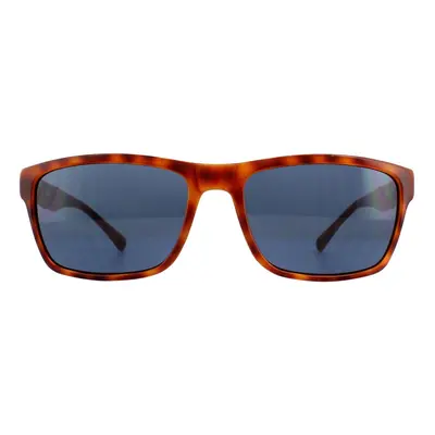 Guess Sunglasses GU6756 HNY9 Honey Tortoise Blue