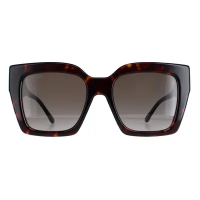 Jimmy Choo Sunglasses Eleni/G/S 086/HA Dark Havana Brown Gradient