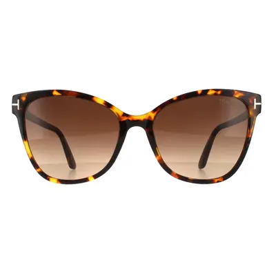 Tom Ford Sunglasses Ani FT0844 52F Dark Havana Brown Gradient