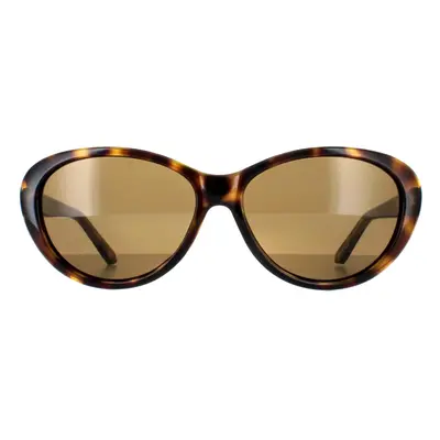 Ted Baker Sunglasses TB1315 Cougar 122 Havana Brown Gradient