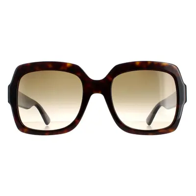 Gucci Sunglasses GG0036SN 004 Havana Glitter Blue and Red Brown Gradient