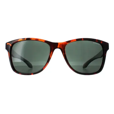 O''Neill Sunglasses Offshore 102P Tortoiseshell Green Polarized