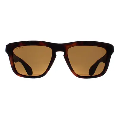 Gucci Sunglasses GG1571S 002 Havana Brown