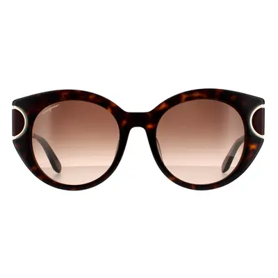 Salvatore Ferragamo Sunglasses SF840SA 214 Tortoise Brown Gradient (unavailable)