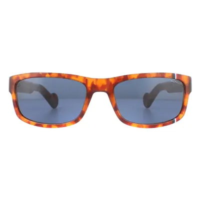 Moncler Sunglasses ML0114 53V Havana Blue