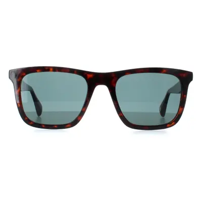 Ted Baker Sunglasses TB1680 Filipe 110 Milky Dark Brown Blue