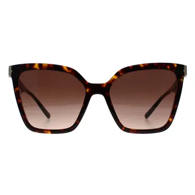 Bvlgari Sunglasses BV8253 504/13 Havana Brown Gradient