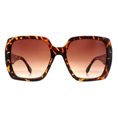 Atum Sunglasses Zouk C2 Shiny Havana Brown Gradient