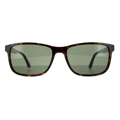 Police Sunglasses SPL998 Origins Lite 4 0722 Shiny Dark Havana Green