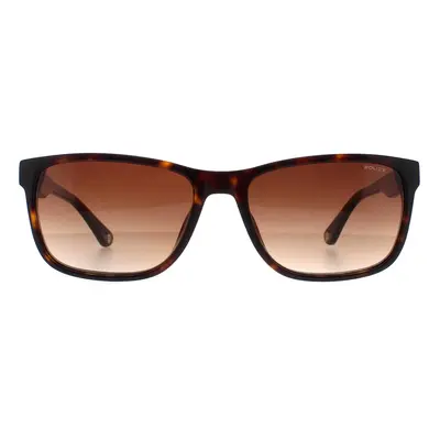 Police Sunglasses SPLB40N Arcade 2 0722 Shiny Dark Havana Brown Gradient (unavailable)