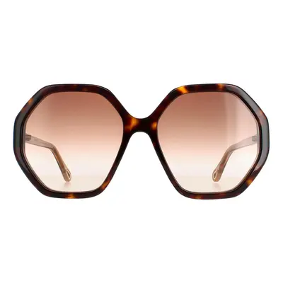 Chloe Sunglasses CH0008S Esther 004 Dark Havana and Brown Crystal Brown Gradient