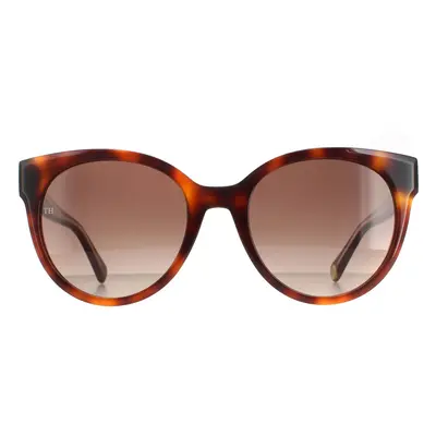 Tommy Hilfiger Sunglasses TH 1885/S 05L HA Havana Brown Gradient