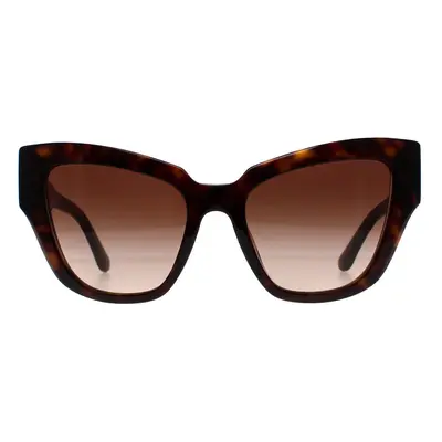 Dolce & Gabbana Sunglasses DG4404 502/13 Havana Brown Gradient