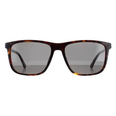 Police Sunglasses SPLE05M 0722 Dark Havana Grey Green