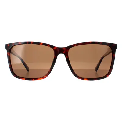 Timberland Sunglasses TB9280-H 52H Dark Havana Brown Polarized