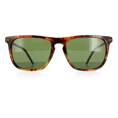 Polo Ralph Lauren Sunglasses PH4168 501771 Shiny Jerry Havana Bottle Green