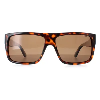 INVU Sunglasses B2130 B Demi Tortoise Brown Brown Polarized