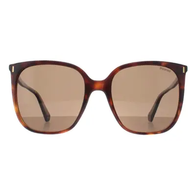 Polaroid Sunglasses PLD 6218/S 086 SP Havana Bronze Polarized