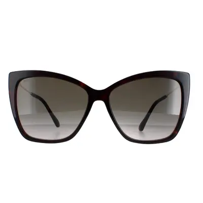 Jimmy Choo Sunglasses Seba/S 086/HA Dark Havana Brown Gradient