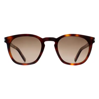 Saint Laurent Sunglasses SL28 048 Havana Brown Gradient