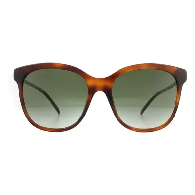 Gucci Sunglasses GG0654S 002 Havana Green Gradient