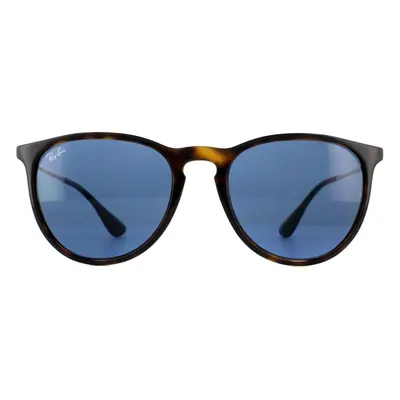 Ray-Ban Sunglasses Erika 4171 639080 Havana Dark Blue