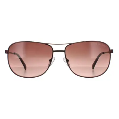 Duck and Cover Sunglasses DCS017 C1 Black Brown Gradient