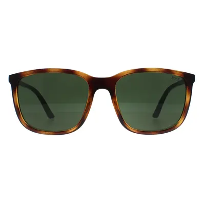 Polo Ralph Lauren Sunglasses PH4185U 500371 Shiny Havana Dark Green