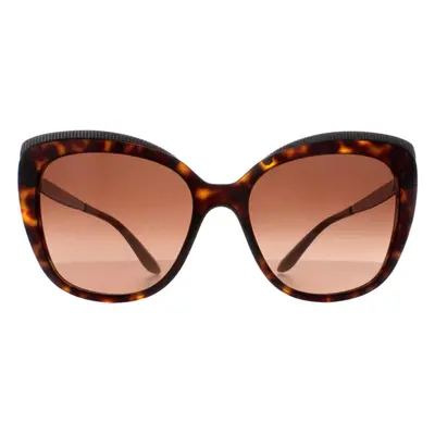 Dolce & Gabbana Sunglasses DG4332 502/13 Havana Brown Gradient