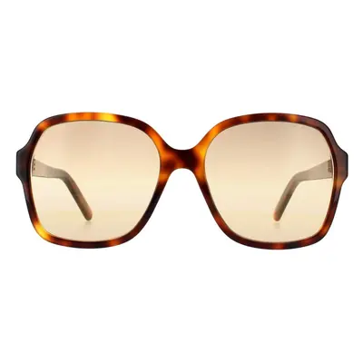 Marc Jacobs Sunglasses MARC 526/S 086 HA Havana Brown Gradient