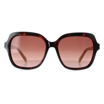 Karen Millen Sunglasses KM5048 102 Dark Tortoise Brown Gradient