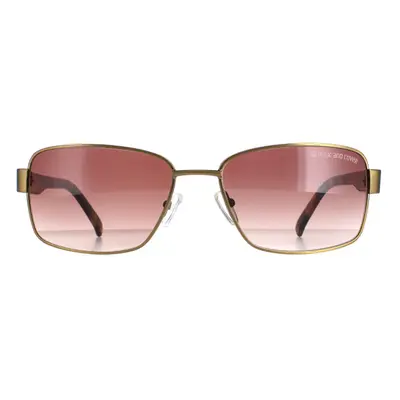 Duck and Cover Sunglasses DCS012 C1 Brown Brown Gradient