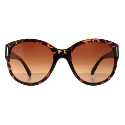 Smarty Sunglasses X2120 B Demi Tortoise Brown Brown