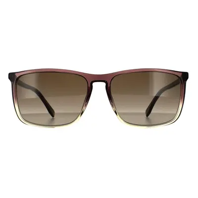 Hugo Boss Sunglasses BOSS 0665/S/IT NUX HA Brown Grey Brown Gradient