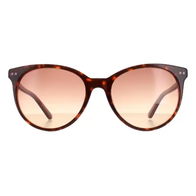 Calvin Klein Sunglasses CK18509S 238 Tortoise Milky Purple Brown