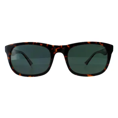 Polaroid Sunglasses PLD 2104/S/X KRZ/UC Havana Green Polarized