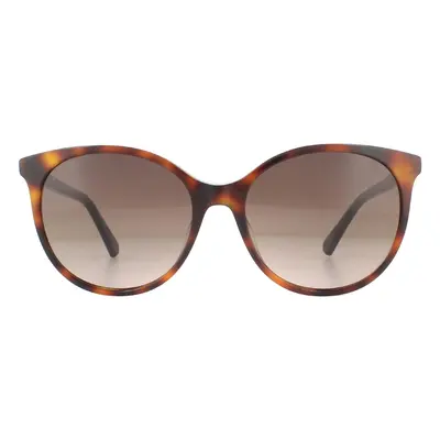 Swarovski Sunglasses SK0223 52F Dark Havana Brown Gradient