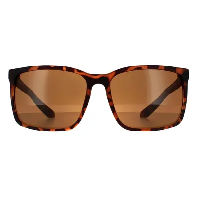 Dragon Sunglasses Montage 40734-246 Matte Tortoise Bronze