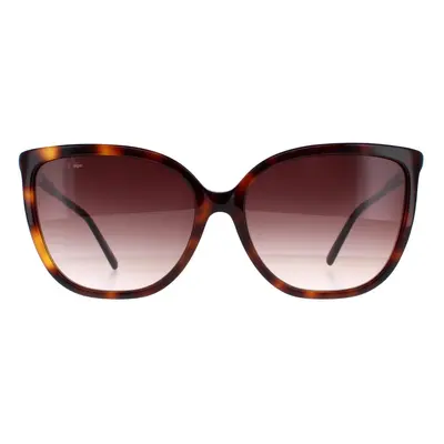 Lacoste Sunglasses L963S 230 Havana Brown Gradient