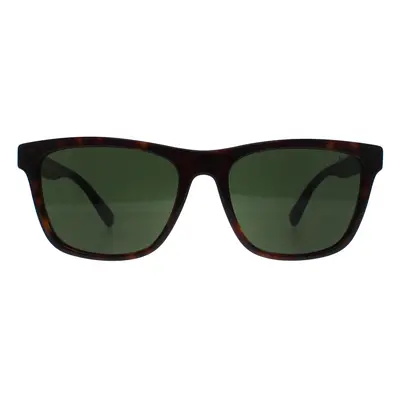 Polo Ralph Lauren Sunglasses PH4167 500371 Shiny Dark Havana Dark Green