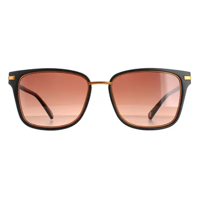 Ted Baker Sunglasses TB1620 Mata 001 Black Brown Gradient